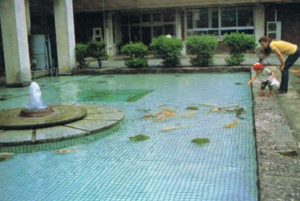 水体污染治理后.png